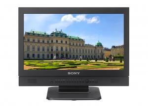 SONY LMD-B170