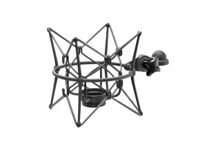Neumann EA 2 mt
