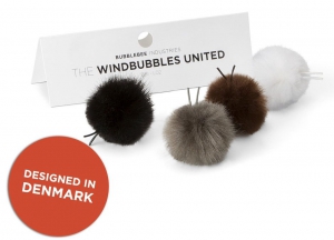 THE WINDBUBBLES UNITED 1