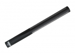 Sanken CS-2