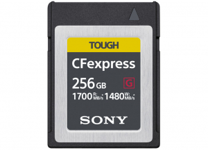 SONY CEB-G256